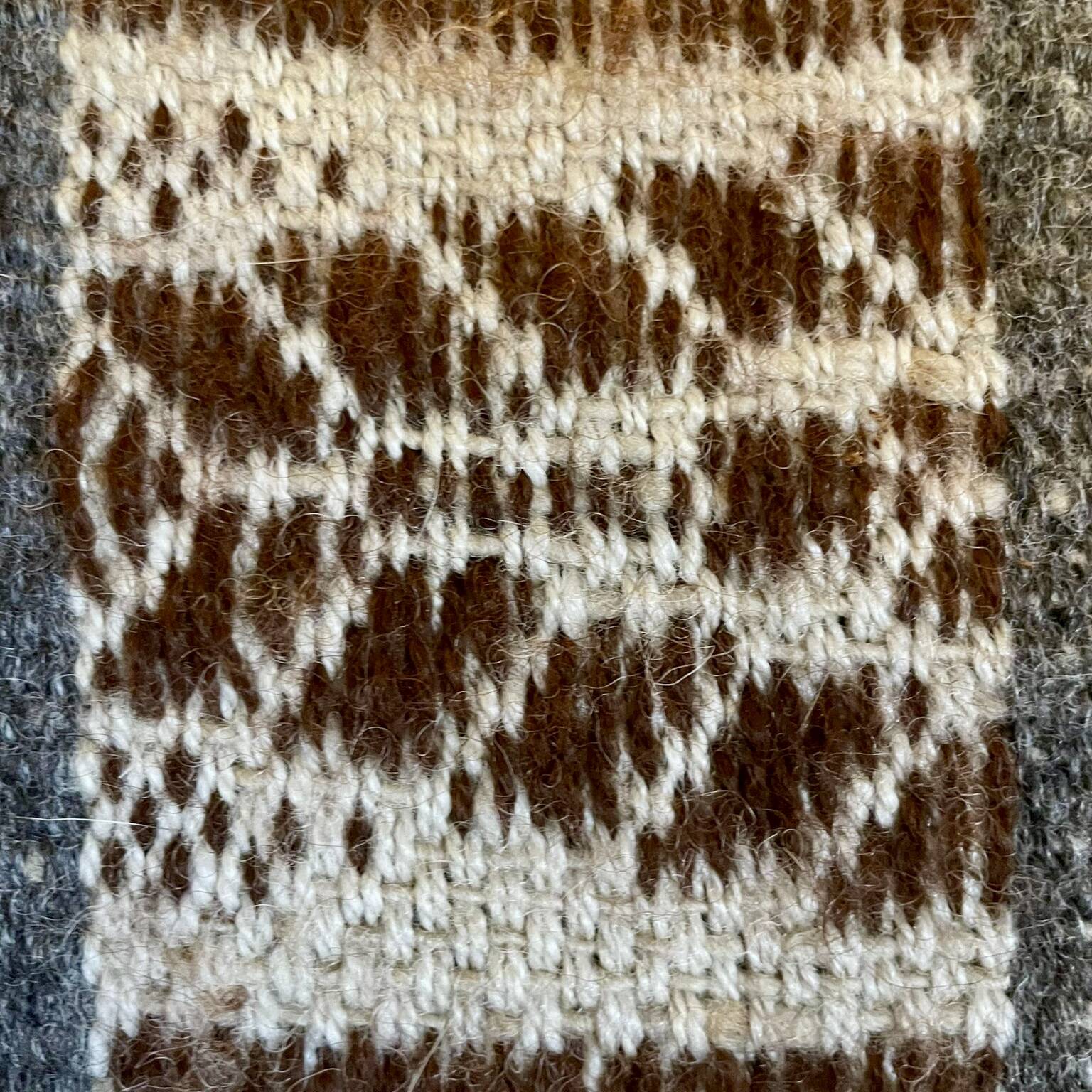 Ausangate Mountain and His Animals