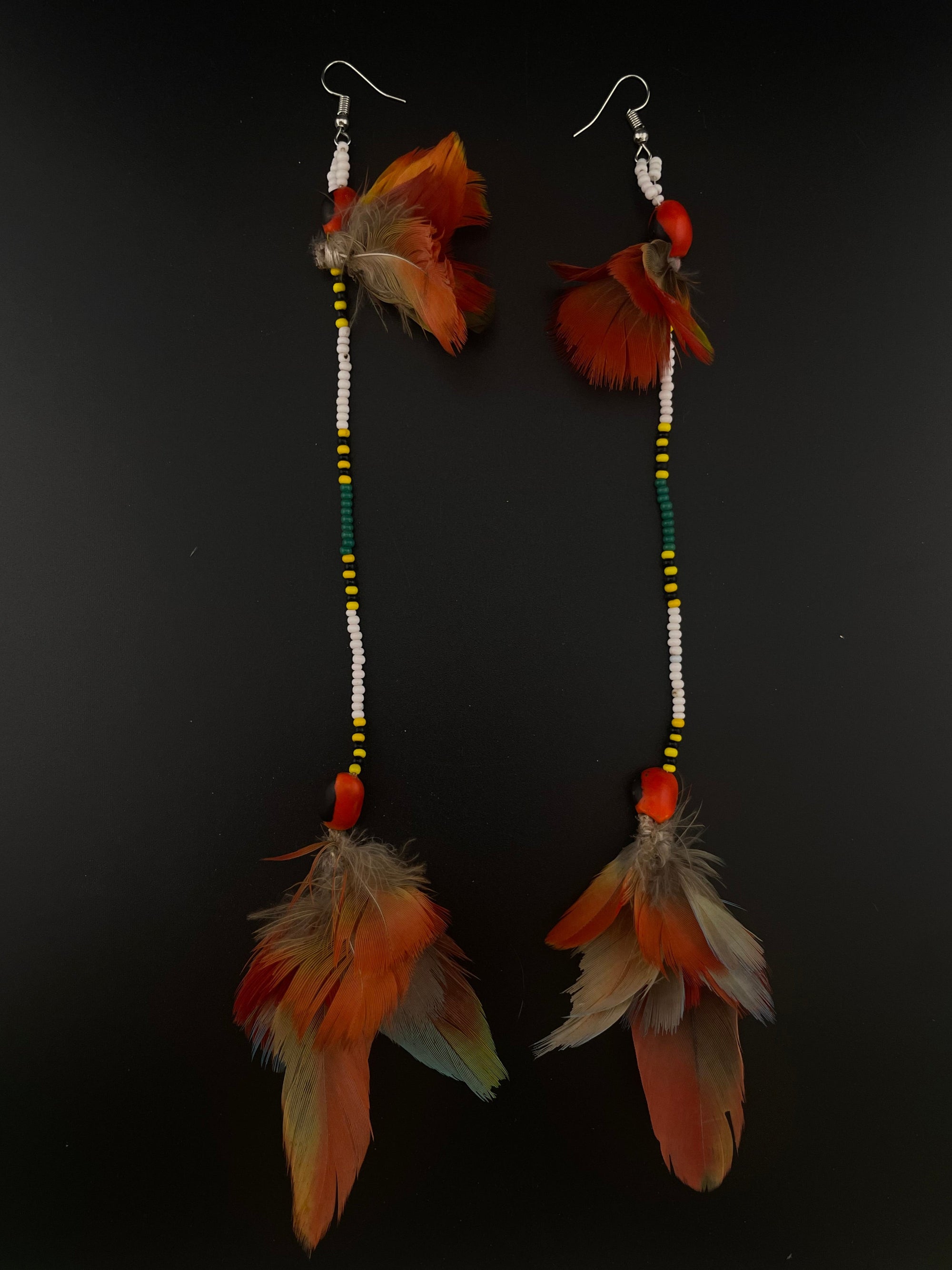 Pair of feather earrings on a black background