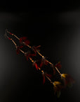Red Feather Waterfall Huni Kuin Earrings