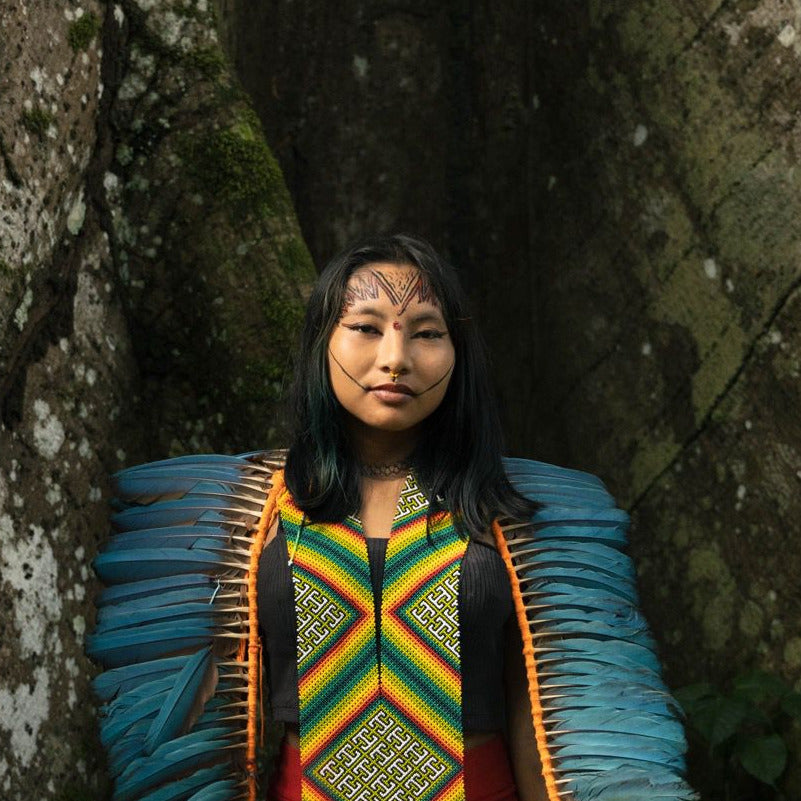A woman stands in a rocky, mossy natural setting wearing a colorful traditional-style garment with bright blue feathered shoulder panels, a multicolor geometric chest design, and red bottoms.